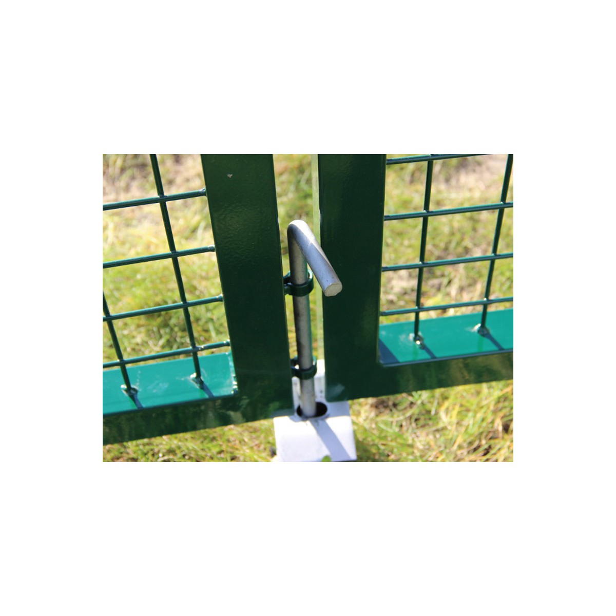 Gate BD ECO 2000x3600 / ZN+PVC7016