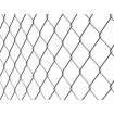 Chain link fence 50/2,00/100/25m / ZN SND