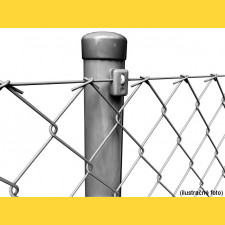 Chain link fence 50/2,00/100/25m / ZN SND