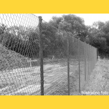 Chain link fence 60/3,00-1,90/100/10m / PVC BND / ZN+PVC9005