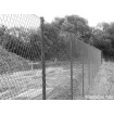 Chain link fence 60/3,00-1,90/150/10m / PVC BND / ZN+PVC9005