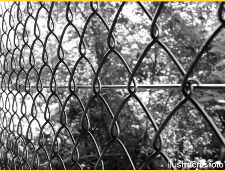 Chain link fence 60/3,50-2,50/100/10m / PVC BND / ZN+PVC9005