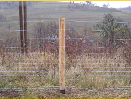 Knotted fence 150/15/14dr. / 1,80x2,20