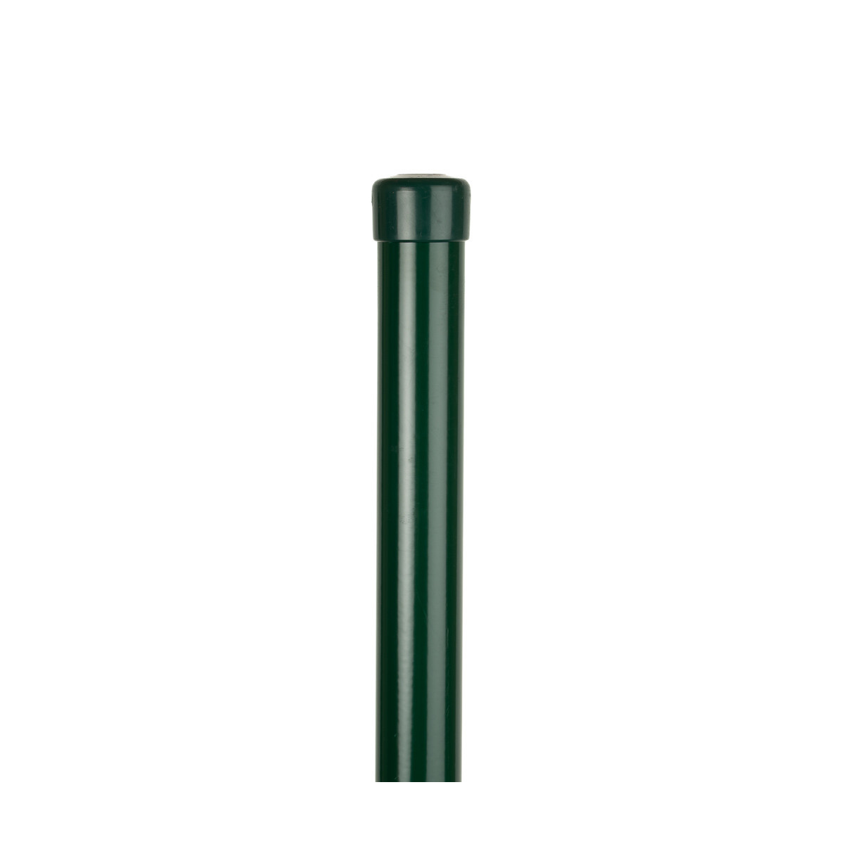 Sloupek poplastovaný (BPL) 48x1,50x1500 / ZN+PVC6005