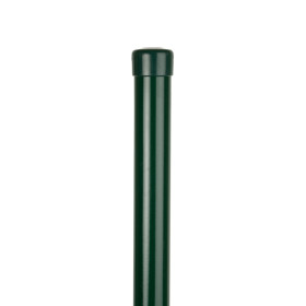 PVC coated post (BPL) 38x1,25x3000 / ZN+PVC6005