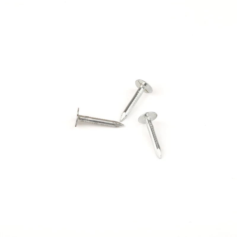 Fibre nails ZN 32x2,50 / 3,0kg