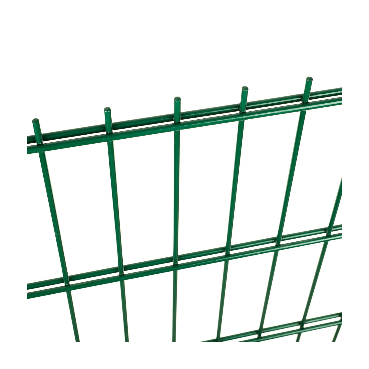 Fence panel DOUBLE 6/5/6 / 1630x2500 / ZN+PVC6005