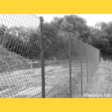 Chain link fence 50/3,00-1,90/100/10m / PVC BND / ZN+PVC9005