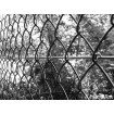 Chain link fence 50/3,00-1,90/150/10m / PVC BND / ZN+PVC9005