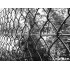 Chain link fence 50/3,50-2,50/160/10m / PVC BND / ZN+PVC9005