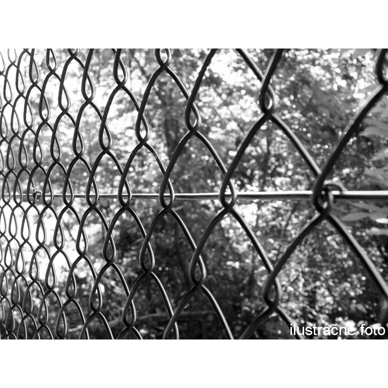 Chain link fence 50/3,50-2,50/200/10m / PVC BND / ZN+PVC9005