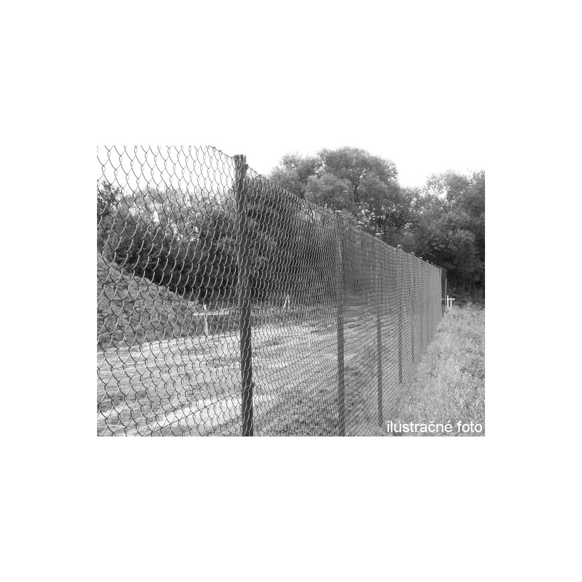 Chain link fence 50/3,50-2,50/200/10m / PVC BND / ZN+PVC9005