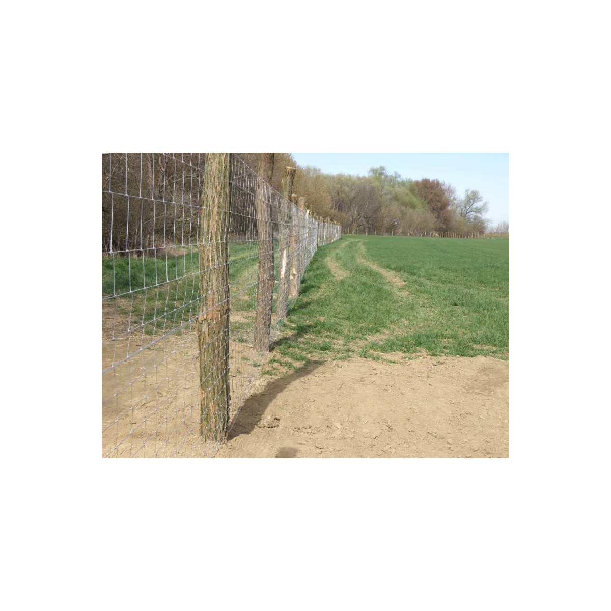 Knotted fence 160/15/23dr. / 2,00x2,80