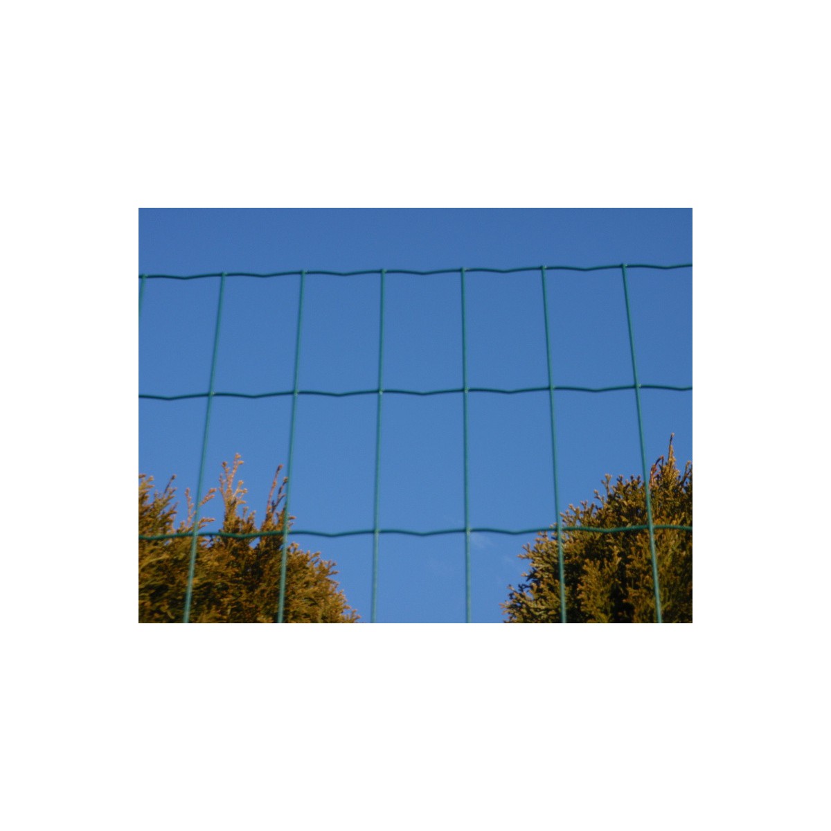 E-PLAST 80cm / 15m / green