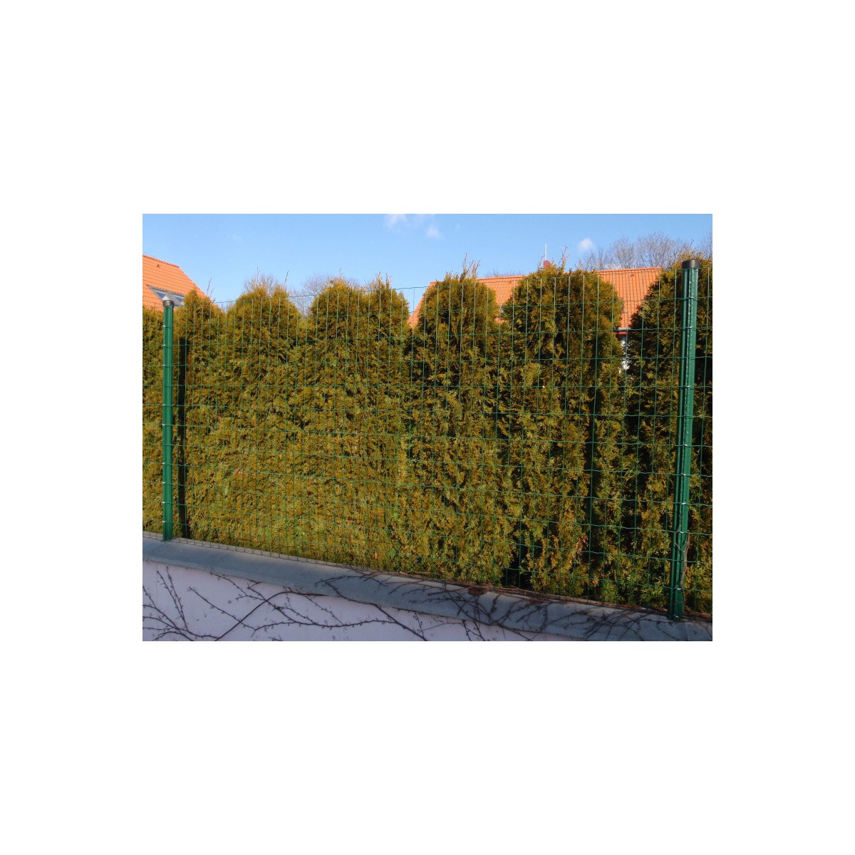 E-PLAST 80cm / 15m / green
