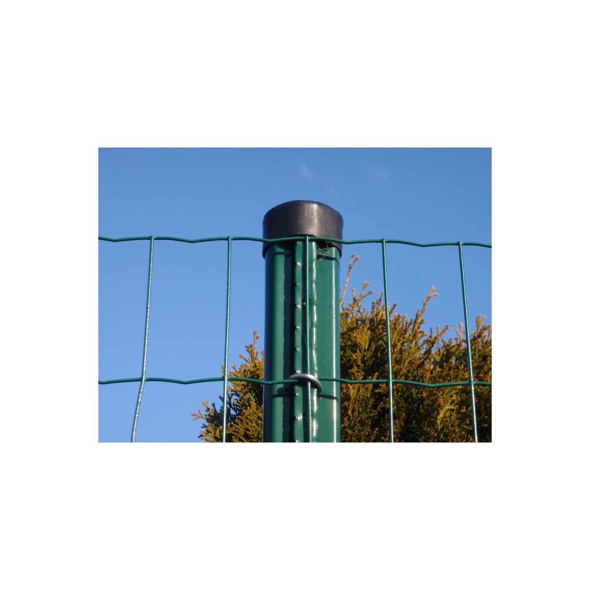 E-PLAST 80cm / 25m / green