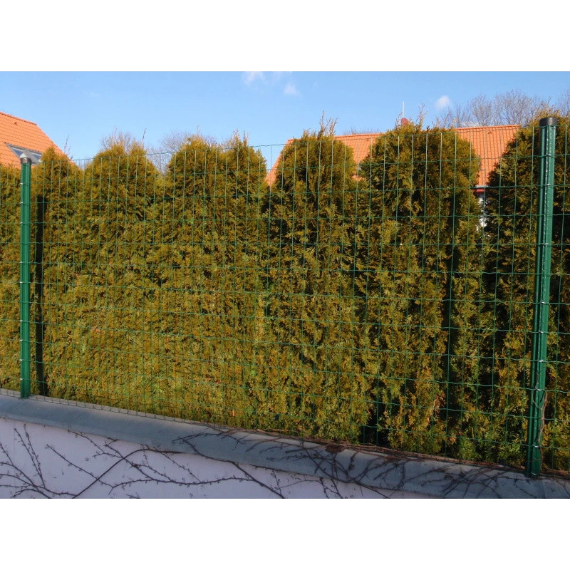 E-PLAST 100cm / 25m / green