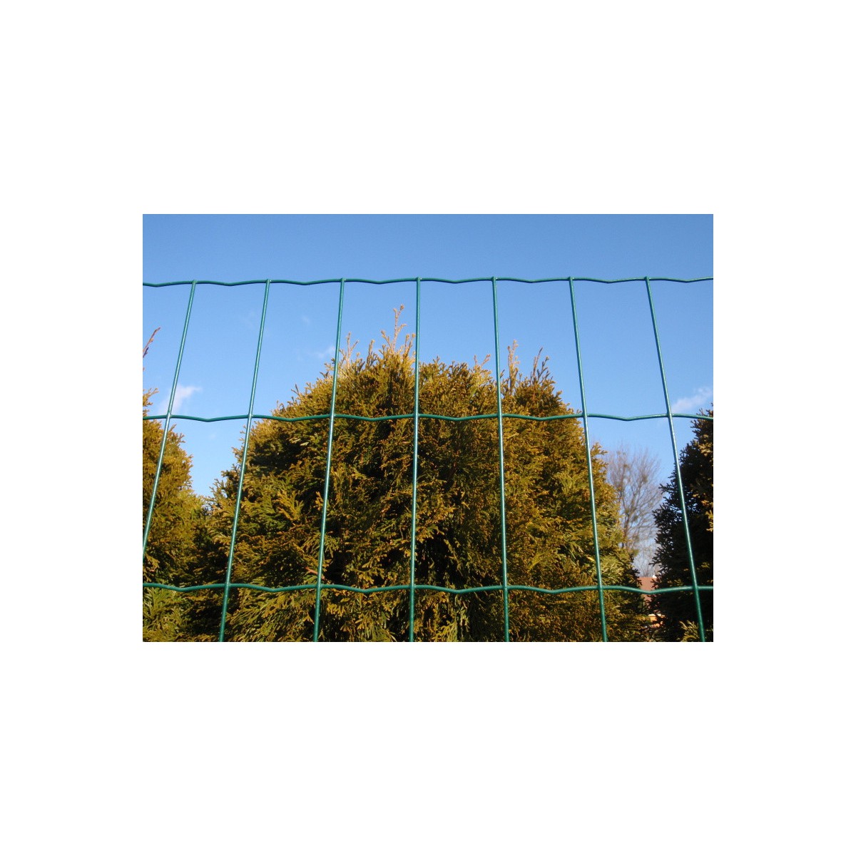 E-PLAST 150cm / 15m / green