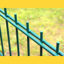 Fence panel DOUBLE 6/5/6 / 1430x2500 / ZN+PVC6005