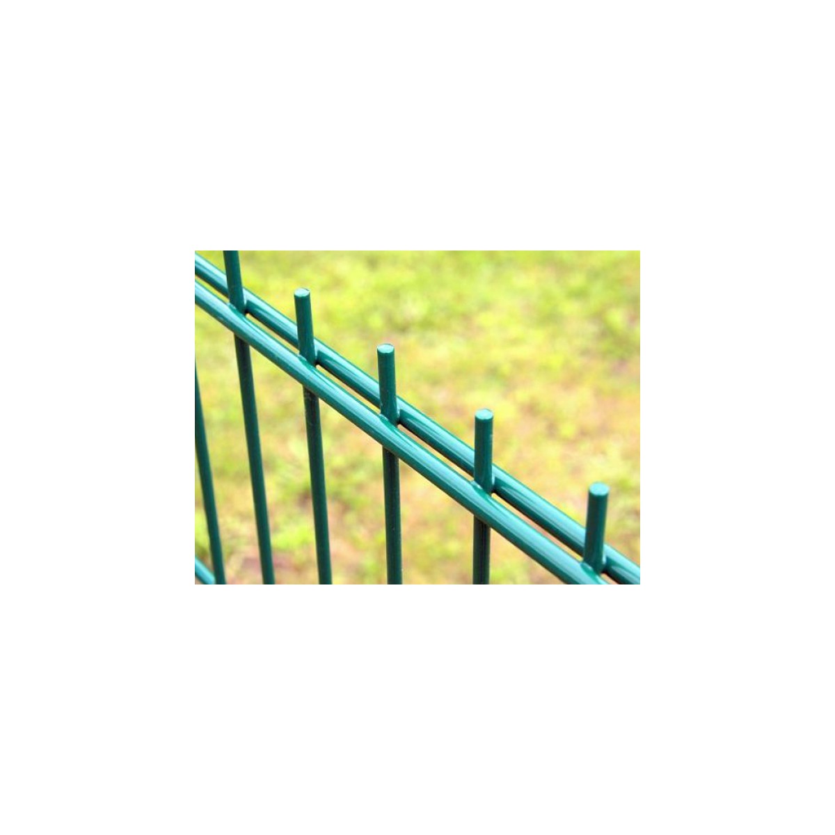 Fence panel DOUBLE 6/5/6 / 2030x2500 / ZN+PVC6005