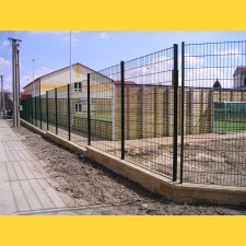 Fence panel DOUBLE 6/5/6 / 2030x2500 / ZN+PVC6005