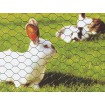 Šestihranné pletivo PVC 16 x 0,90 x 100cm/25m