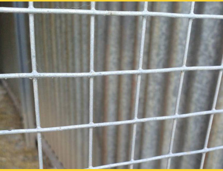 Welded mesh 10,0x10,0 / 0,80 / 1000 mm / 25m / ZN