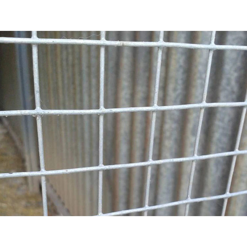 Welded mesh 16,0x16,0 / 1,20 / 1000 mm / 25m / ZN