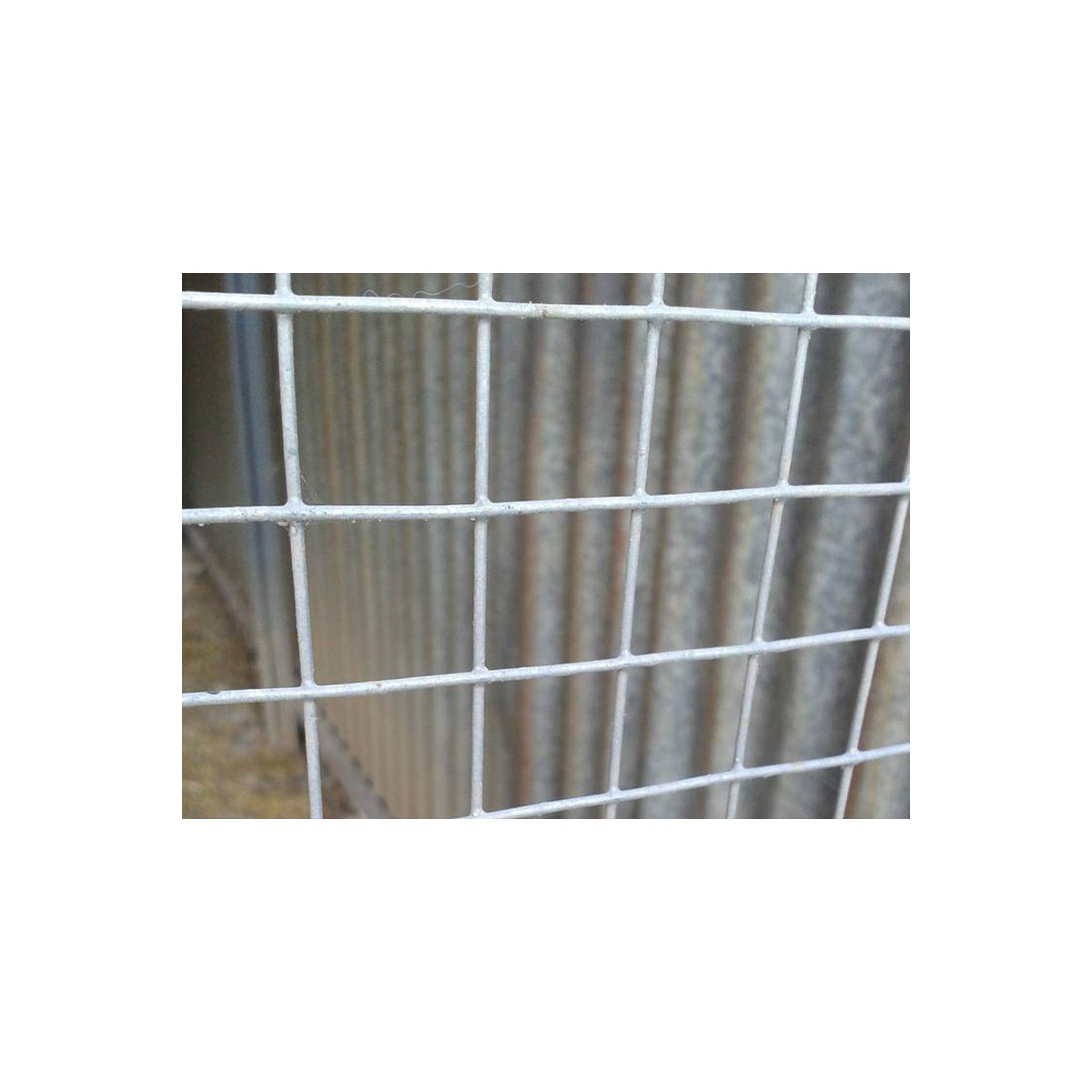 Welded mesh 16,0x16,0 / 1,20 / 1000 mm / 25m / ZN