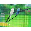 Svař. čtyřhranné pl. 13,0x13,0 / 1,20 / 1000 mm / 25m / ZN+PVC6005