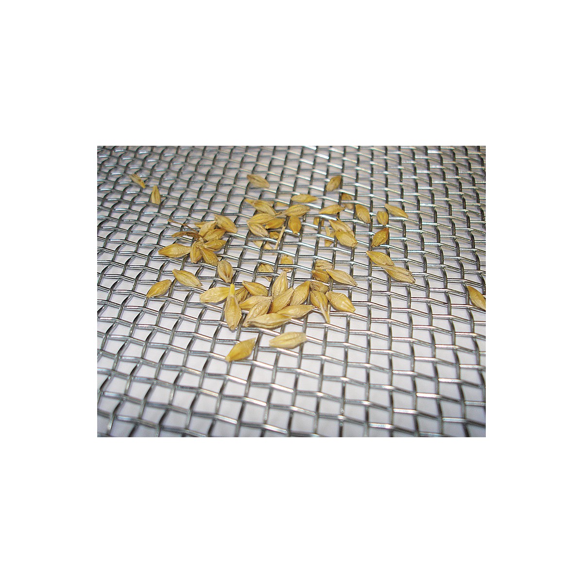 Metal netting ZN 4,00 / 1,00 / 1000mm / 10m / CN