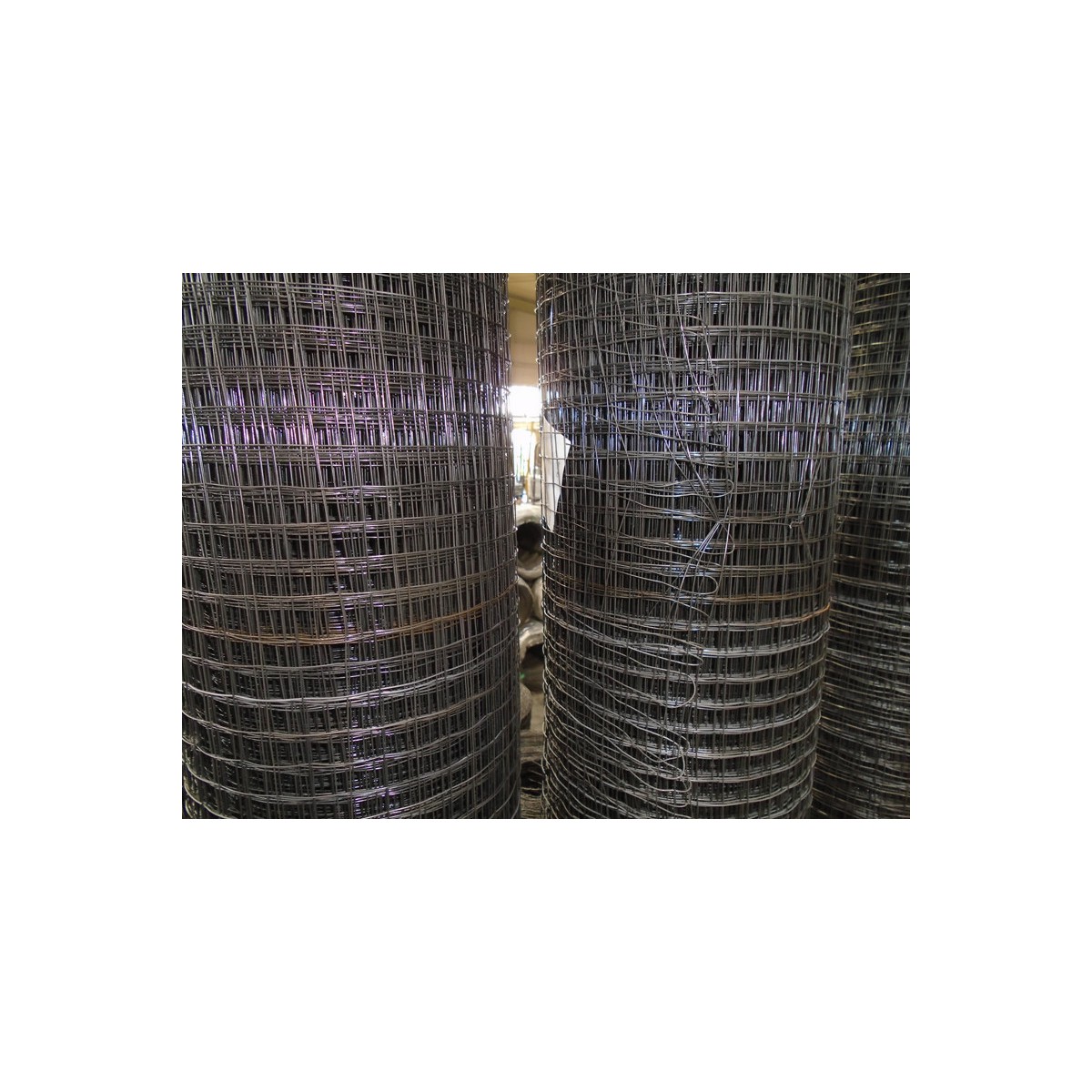 Rabitz nettings FE 16x16 / 50m