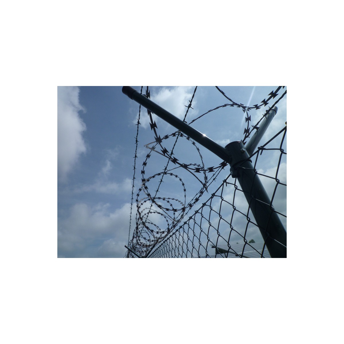 Barbed razor wire pack diameter 700 mm / 10 m