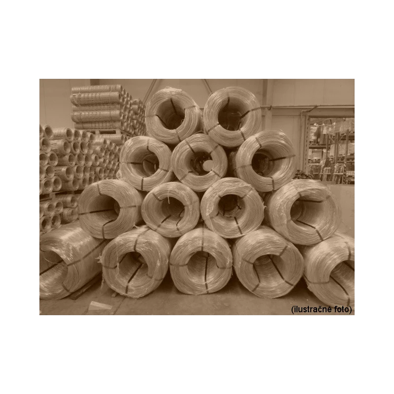 Plastified wire PVC 3,00-1,90 / kg / ZN+PVC8017