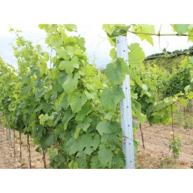Vineyard post ending HRON / 60x40x2,00x2700 SH / S250GD+Z275 / ZN / standard hooklet