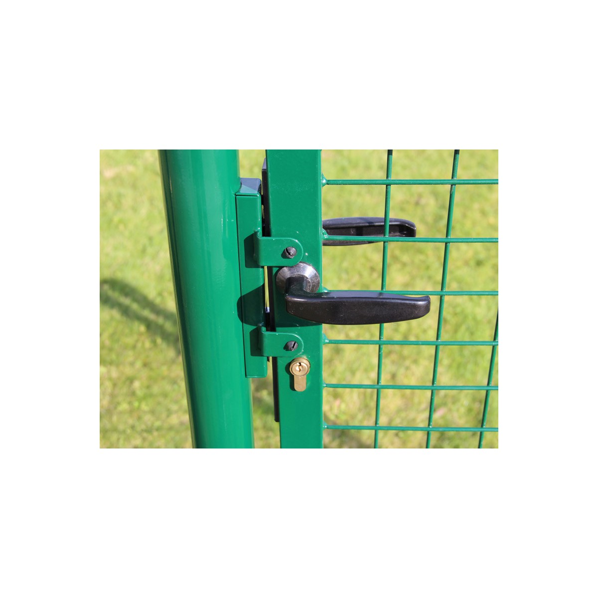 Gate BJ ECO 2000x1000 / ZN+PVC6005