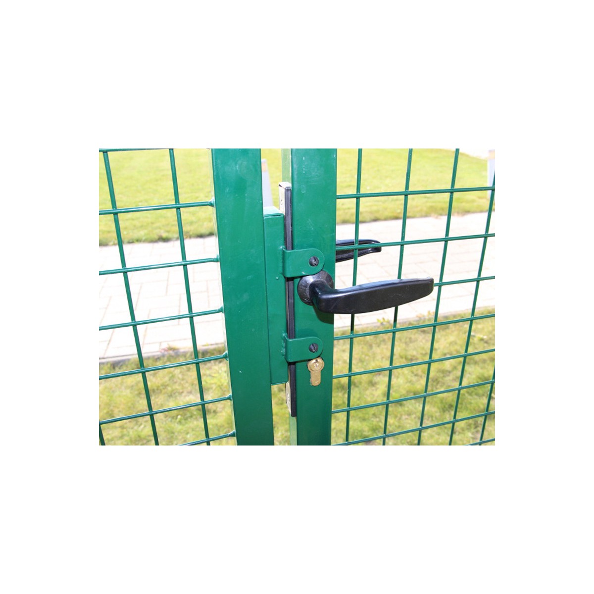 Gate BD ECO 2000x3600 / ZN+PVC6005