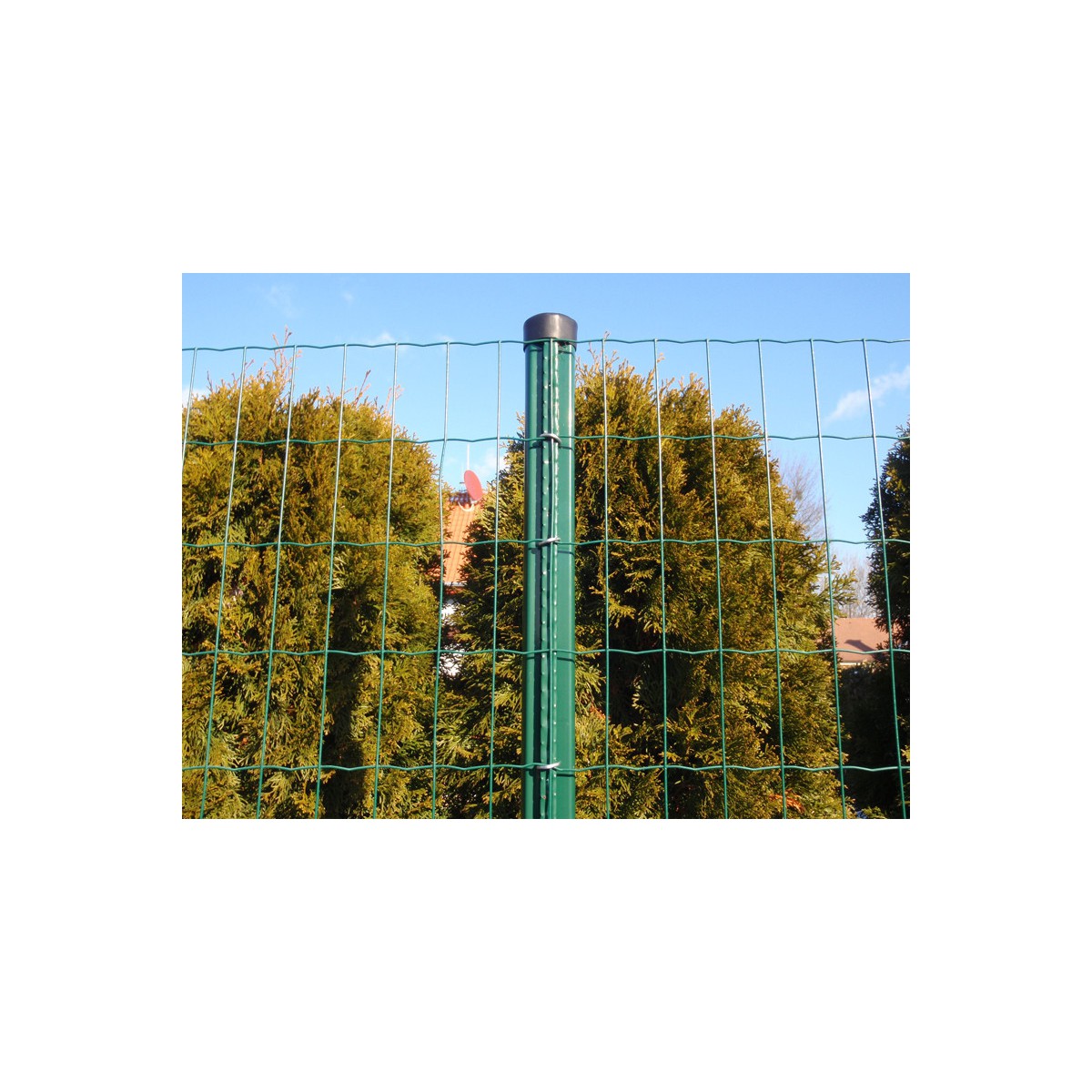 Post AQUIGRAF 48x1,50x1500 / ZN+PVC6005