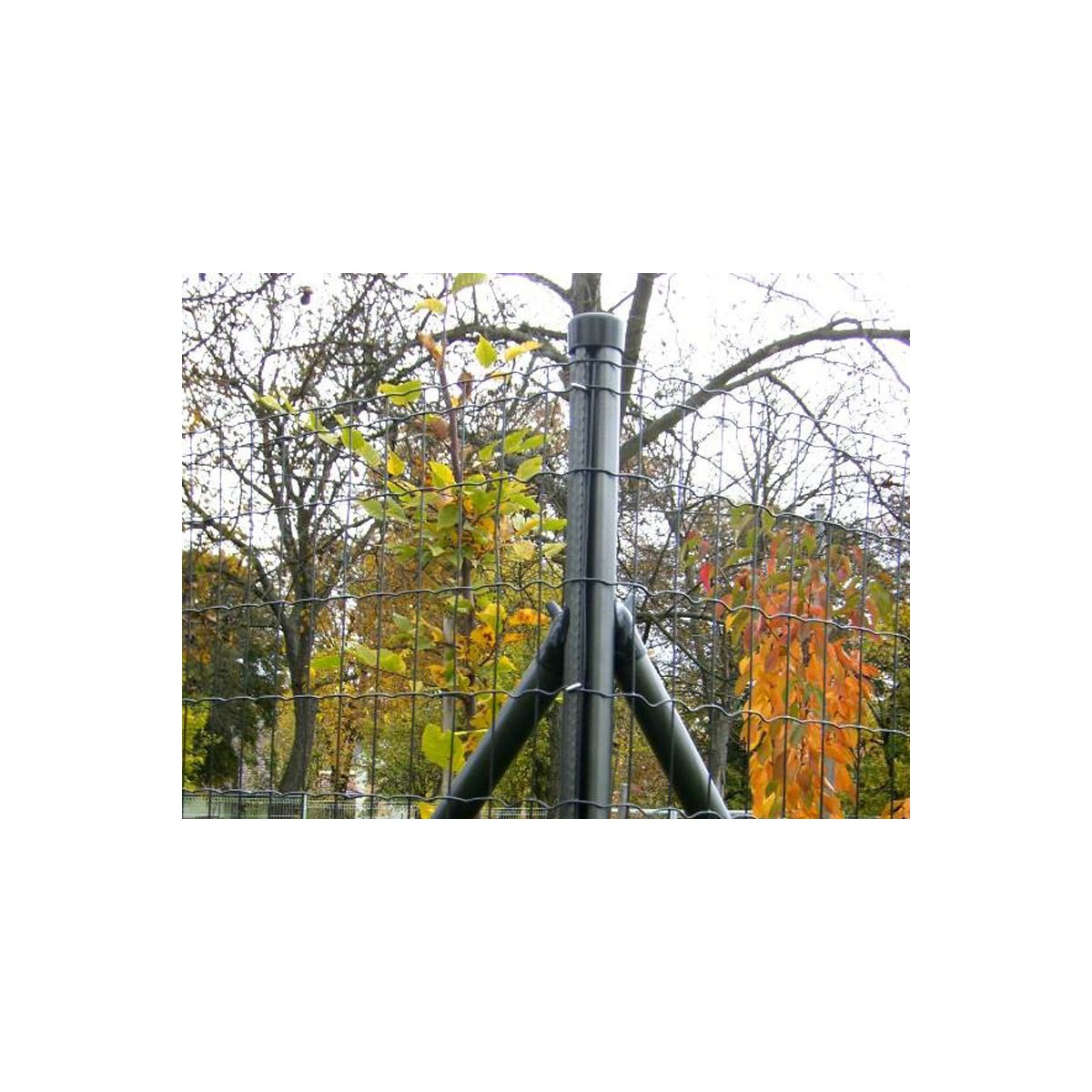 Post AQUIGRAF 48x1,50x2500 / ZN+PVC7016