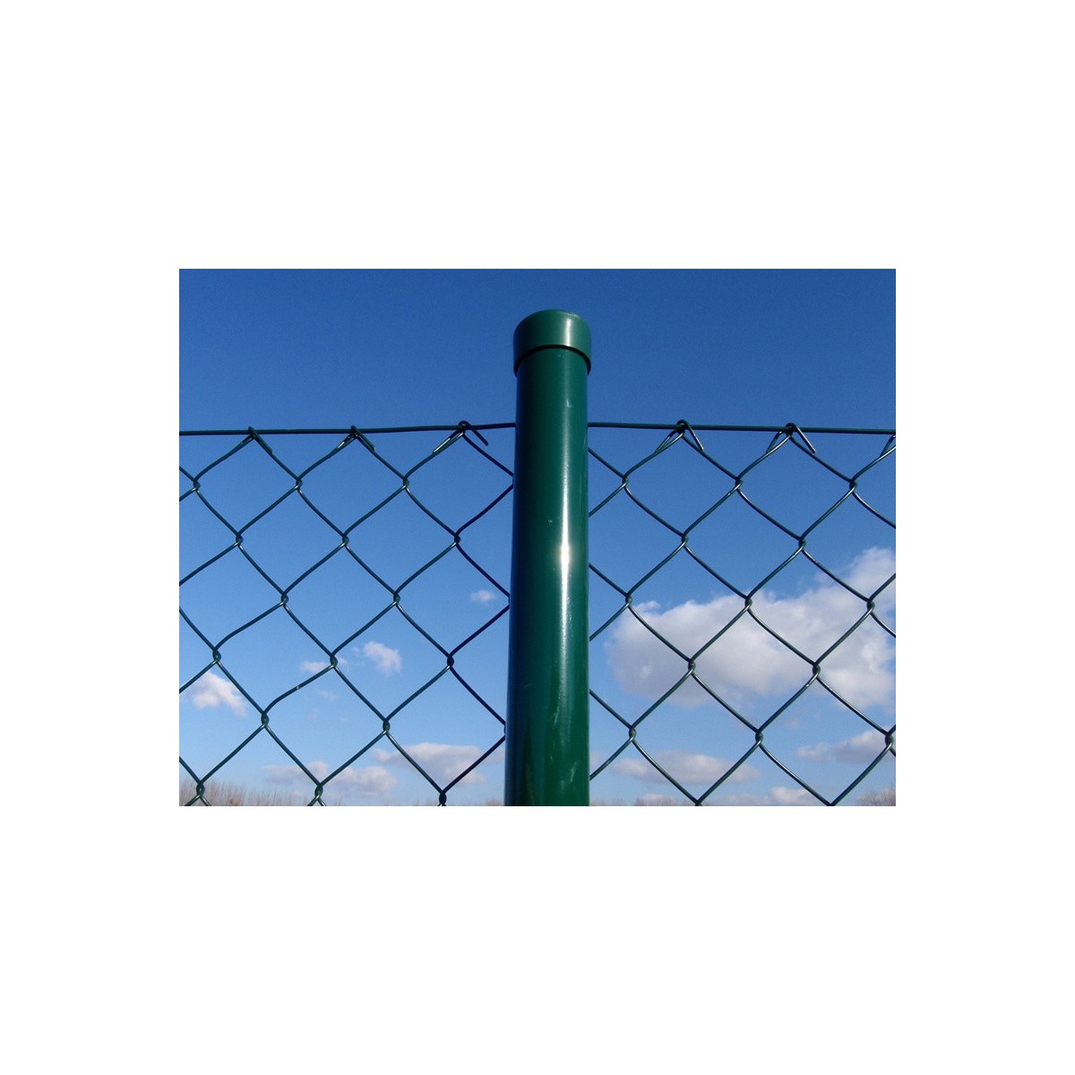 PVC coated post (BPL) 48x1,50x2000 / ZN+PVC6005
