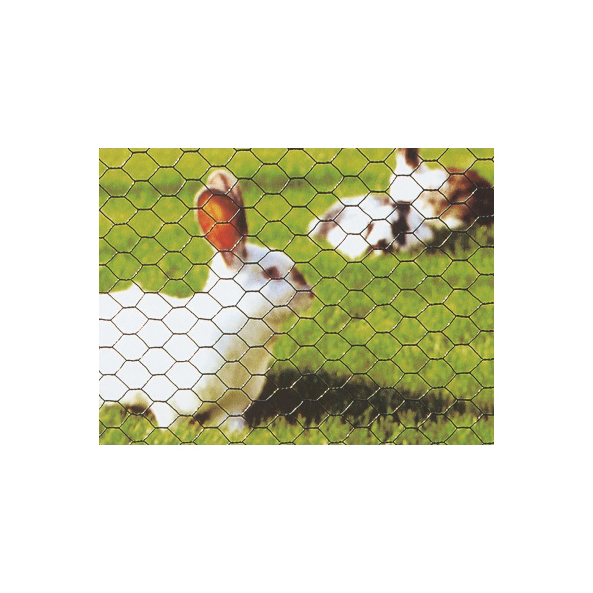 Hexagonal mesh PVC 20 x 0,90 x 100cm/25m