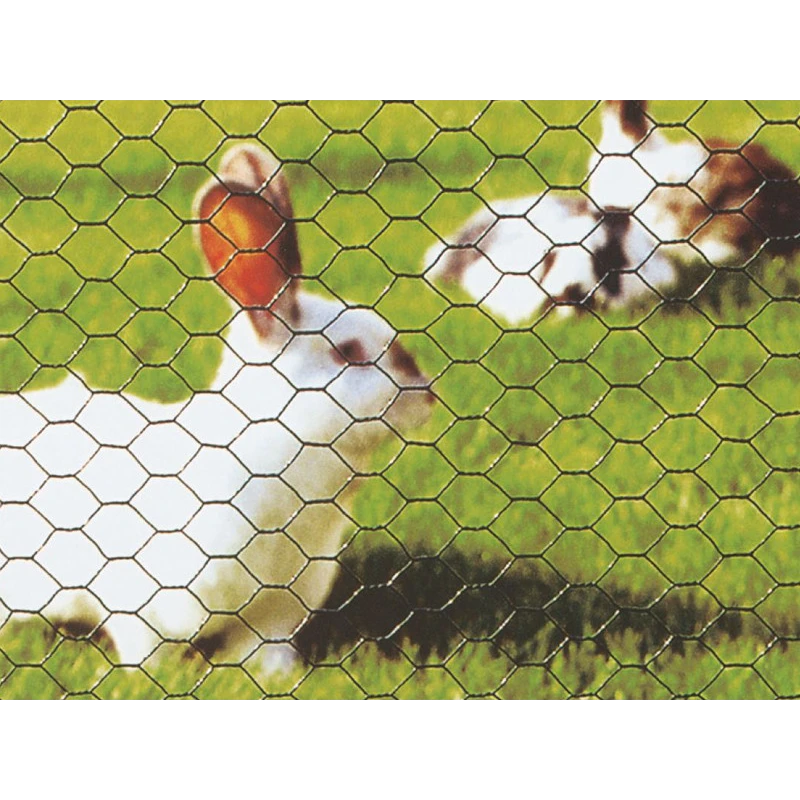 Šestihranné pletivo PVC 25 x 1,00 x 100cm/25m